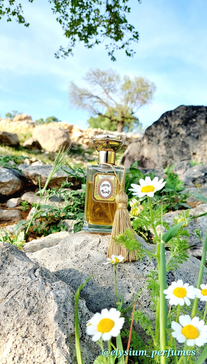 Chypre Mousse Oriza L. Legrand