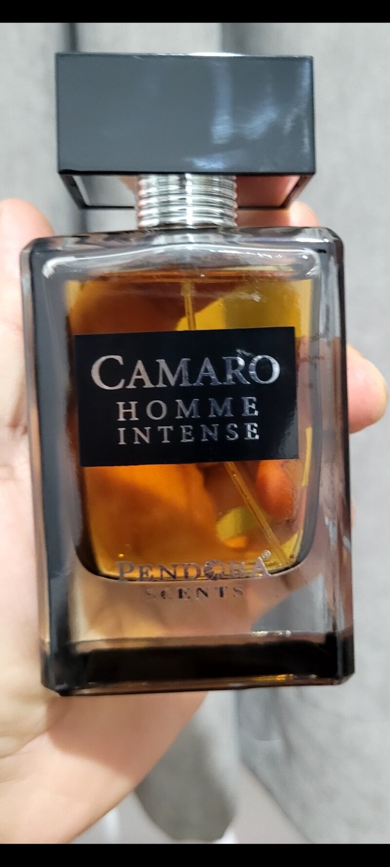 برای عاشقان دیور هوم اینتنس ۲۰۱۱