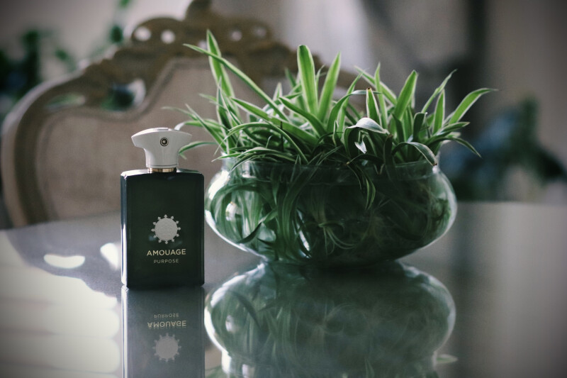 Follow your passion, It'll lead you to your purpose