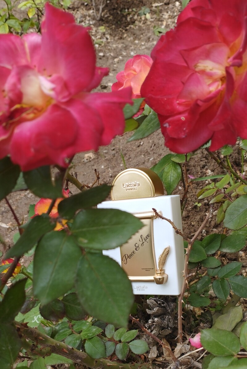 نامه‌ی معطر 