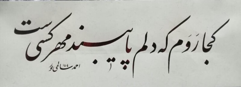✨پورانوم✨