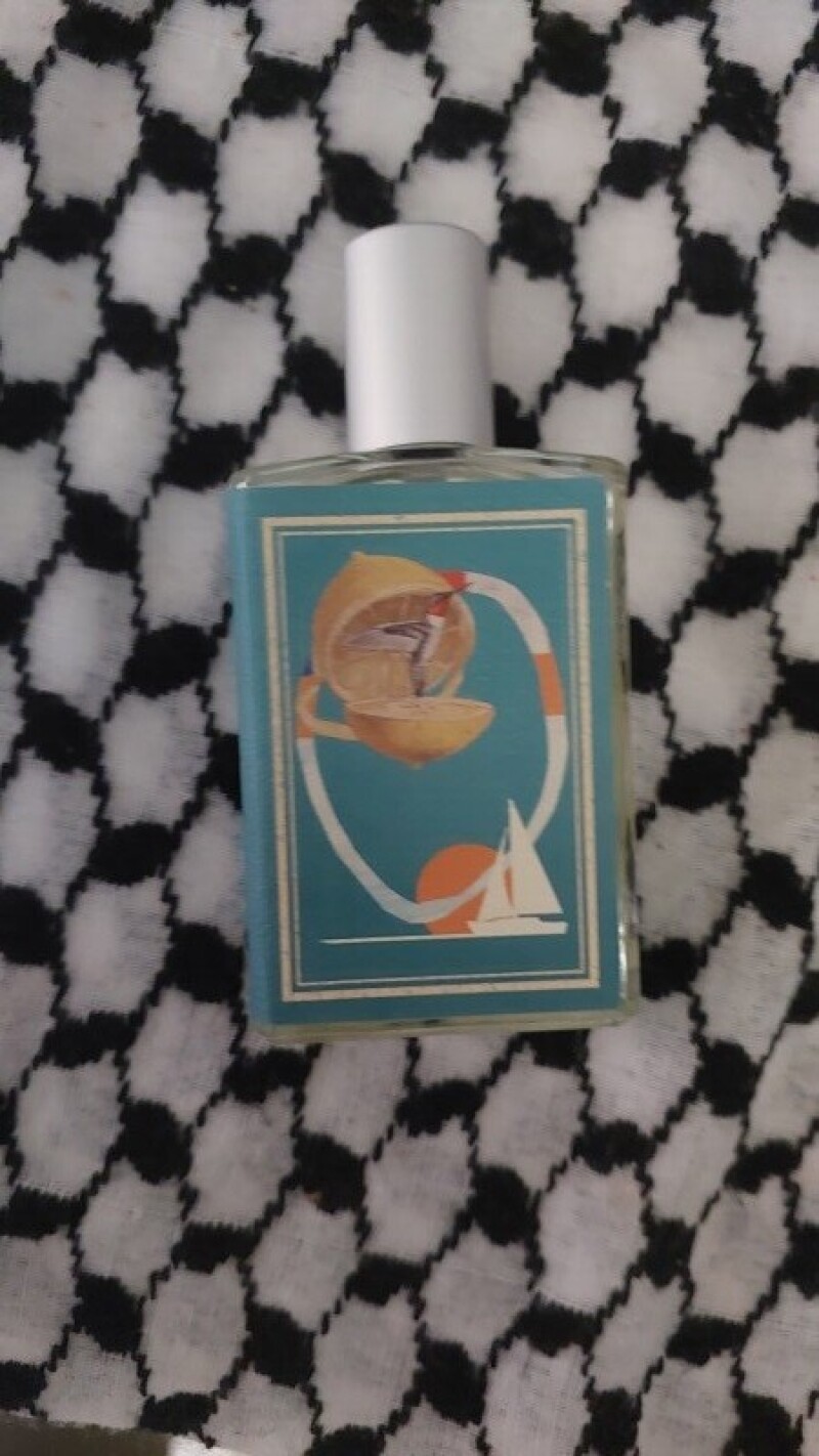 Wander throw the park & Falling into the sea