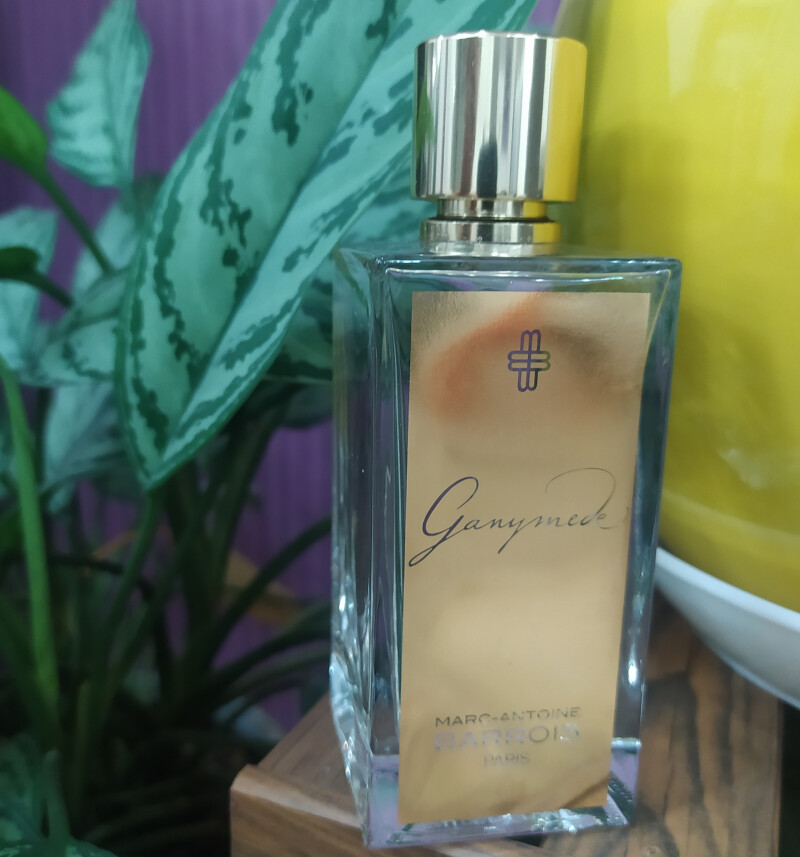 گنیمید افسانهای