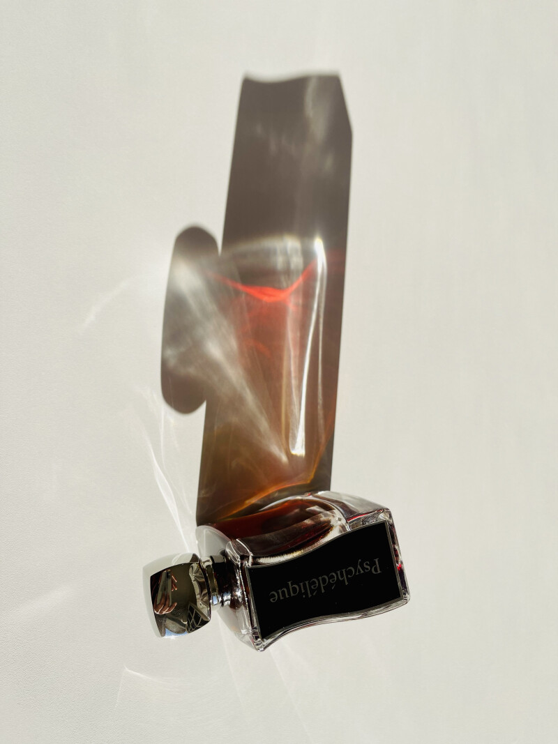 رفیق و هم سفر این روزهای من