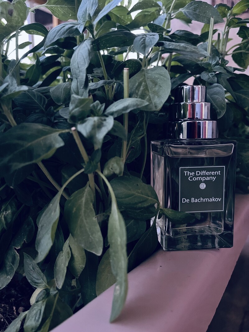 De Bachmakov - The Different Company