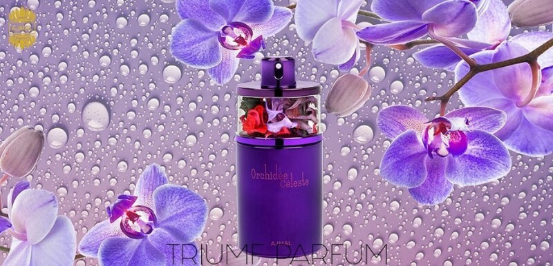 اجمل ارکیده