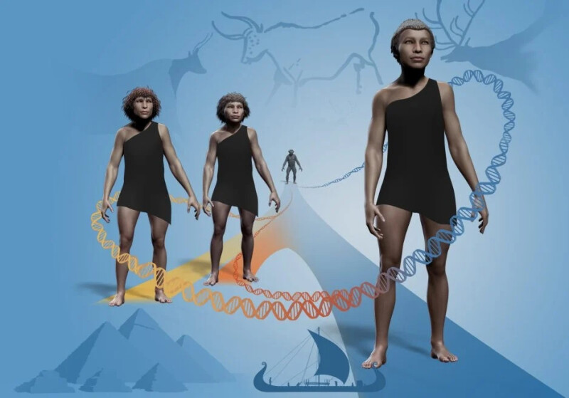 فیلوژنتیک شرق....