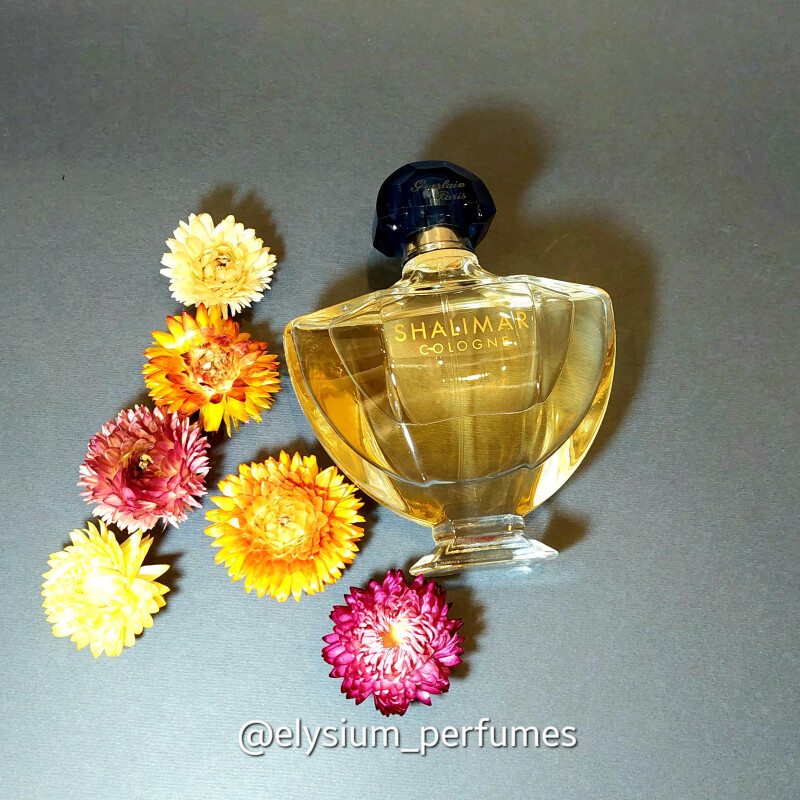 گرلن شالیمار ادوپرفیوم: