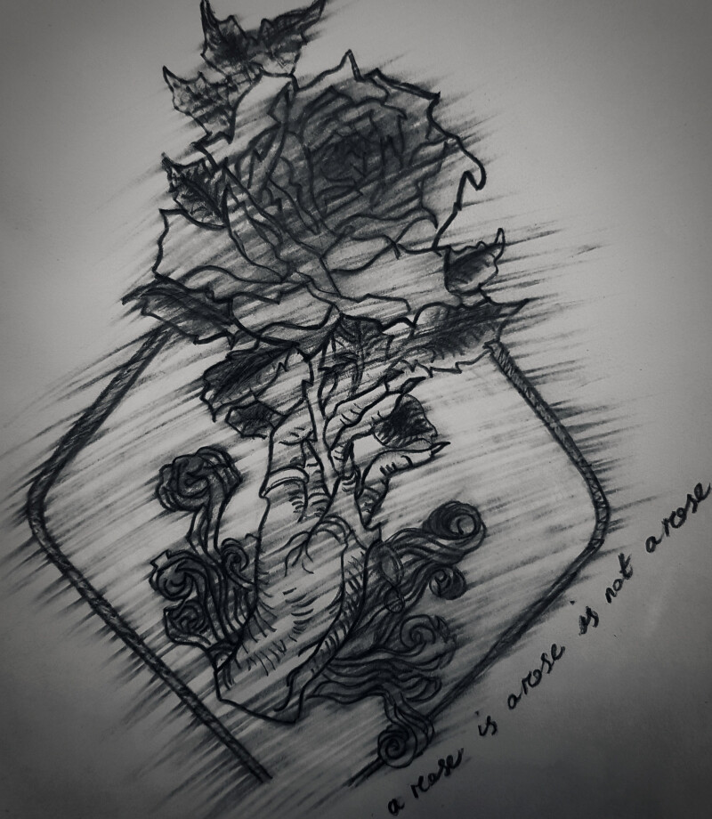 a sorceress; a mythic forest