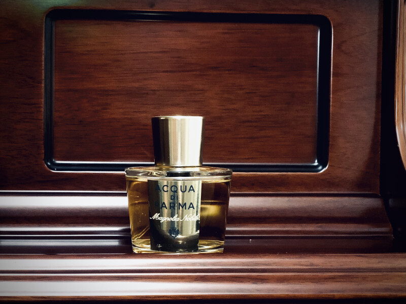 🤍Magnolia nobile🤍