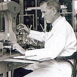 اندره فرایسی