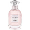 Coach Dreams-کوچ دریمز