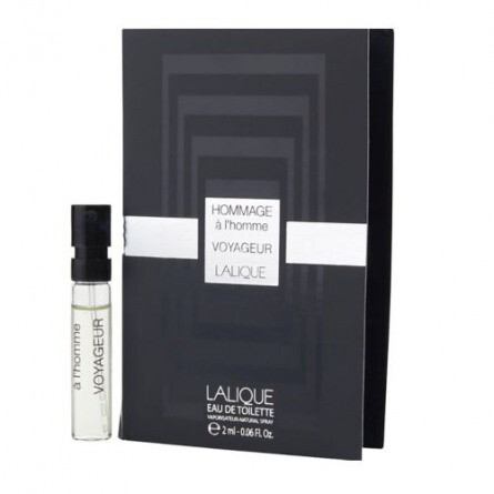 Hommage a l'homme Voyageur-لالیک هومج الهوم وویاژر (هومیج له هوم وویجر)