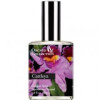 Cattleya Orchid-دیمتر فرگرنس کاتلیا ارکید