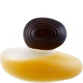 Fusion Sacree Clair-ماجدا بکالی فیوشن ساکری کلایر