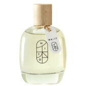 Hito-دبلیو ای آی تی هیتو