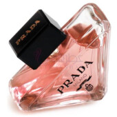 Prada Paradoxe-پرادا پارادوکس
