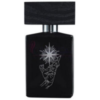 Absent Presence-بیوفرت لندن ابسنت پریسنس