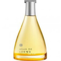 Agua de Loewe Cala d'Or-لووه آکوا کالا د اور