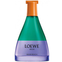 Agua Miami Beach-لووه آگوا میامی بیچ