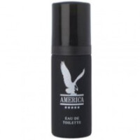 America-میلتون لوید آمریکا