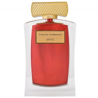 Anvil-دیوید یورمن انویل