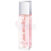 Arc-en-Ciel Morning Rose