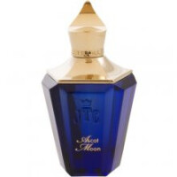 Ascot Moon-زرجوف اسکات مون