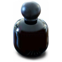 Bass Solo-وگباند پرینس بس سولو