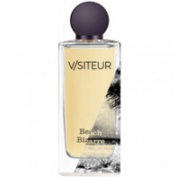 Beach Bizarre-وی اسلش اس آی تی ای یو آر ( وی/سایتر) بیچ بیزار