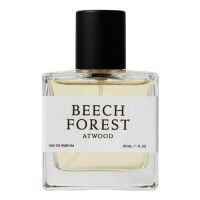 Beech Forest-ات وود بیچ فارست