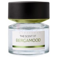 Bergamood-بی ام و فرگرنرسز برگامود