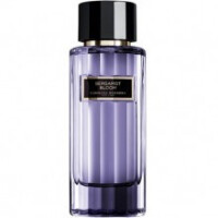 Bergamot Bloom-کارولینا هررا برگاموت بلوم