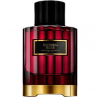 Burning Rose-کارولینا هررا برنینگ رز