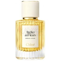 Cedrus Intense-کلوهه سدروس اینتنس