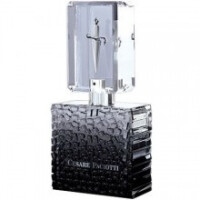 Cesare Paciotti For Him-چزاره پاچیوتی فور هیم