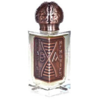 Chasing Memories-بروکن اناتومی پرفیومز چیسینگ مموریز