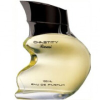 Chastity Men-رساسی چستیتی مردانه