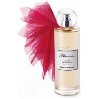 Cheers On The Terrace-بلومارین چیرز ان د تیریس