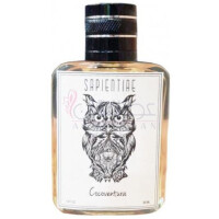 Cocoventura-ساپینتای نیش کوکوونتورا