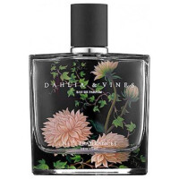 Dahlia & Vines-نست داهلیا اند واینز