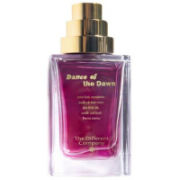 Dance of the Dawn-دیفرنت کمپانی دنس اف د داون