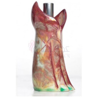 Djelem-سولکو دیلم