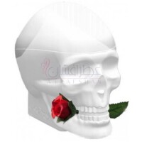 Ed Hardy Skulls & Roses for Her-کریستین اودیگیر اد هاردی اسکولز اند رزز فور هر