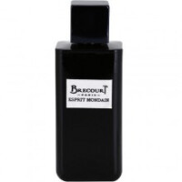 Esprit Mondain-برکورت اسپریت مانداین