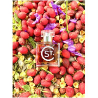 Eve-اس تی کلیر سنتس ایوی