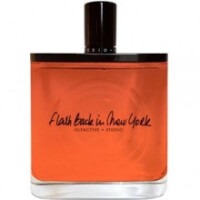 Flash Back In New York-الفکتیو استودیو فلش بلک این نیویورک