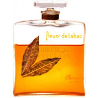 Fleurs de Tabac-چریگان فلورز د تاباک