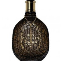 Fuel for Life Unlimited-دیزل فیول فور لایف آنلیمیتد (فول فر لایف اونلیمیتد)