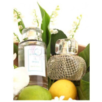 Fugue-استر پی فوگ